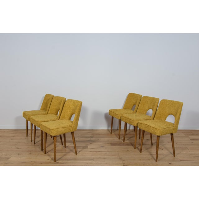 Set of Polish Shell Chairs from Bydgoszcz Furniture Factory, 1960s For Sale - Image 6 of 18