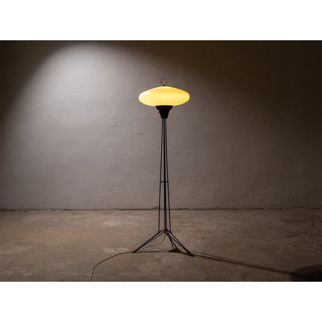 Metal Mid-Century Floor Lamp in Opal Glass, 1950s For Sale - Image 7 of 7
