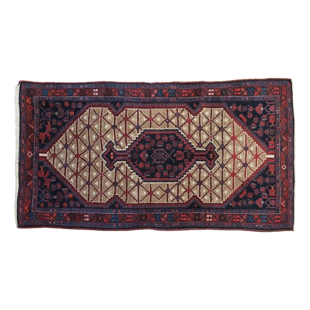 Rug Hamadan in Wool and Cotton For Sale
