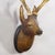 1930s Large Naturalistic Black Forest Carved Deer Head, Ca. 1930s For Sale - Image 5 of 6