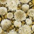 Harlequin Dahlia Wallpaper in Fig Blossom/Nectar/Black Earth - a Sample For Sale