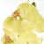 Realism Phalaenopsis Orchid Stems 28" St/4 For Sale - Image 3 of 4