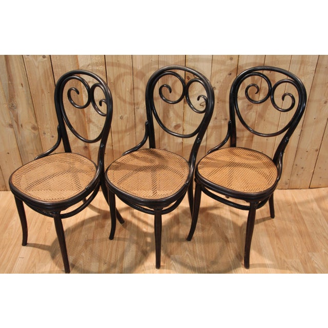 Late 19th Century Vintage Chairs by Michael Thonet for Gebrüder Thonet, 1880, Set of 6 For Sale - Image 5 of 13