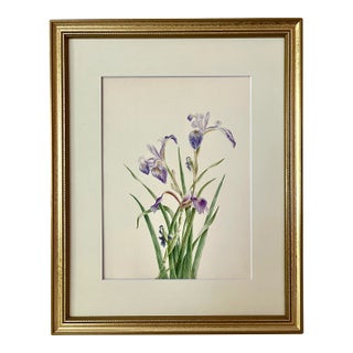 Antique Original Floral Watercolor Botanical Painting 19th /Century For Sale