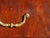 Chest of Drawers in Mahogany Veneer with White Marble Top For Sale - Image 10 of 18