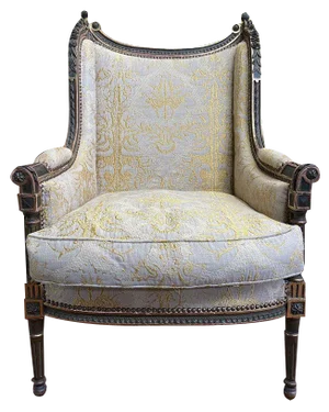 Louis Xvi Bergere Armchair