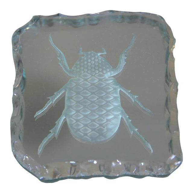 Glass Engraved Scarab Beetle Coaster For Sale - Image 9 of 12