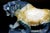 Large Gemstone Tiger Statue Agate With Crystal Geodes For Sale - Image 11 of 14