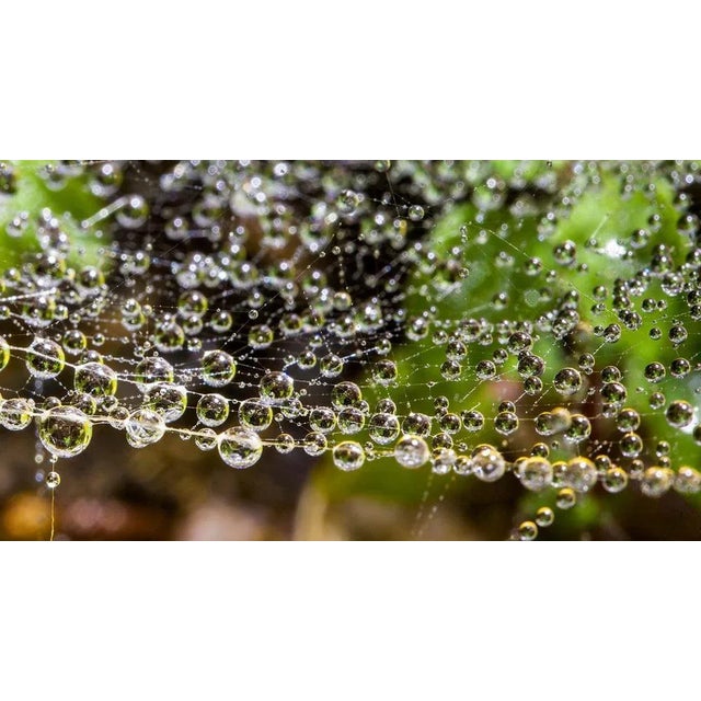 Sam Thomas, Droplets, 2014, Pigment Print For Sale - Image 4 of 6