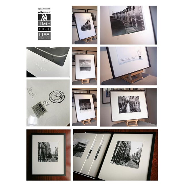 Contemporary Paul Cooklin, Thorpe Forest, Photograph For Sale - Image 3 of 4