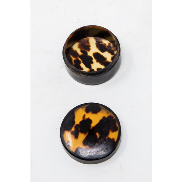 Early 20th Century Vintage Leopard Print Pill Box For Sale - Image 5 of 9