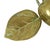 Art Nouveau French Brass Apple-Shaped Jewelry Box, 1920s For Sale - Image 11 of 14