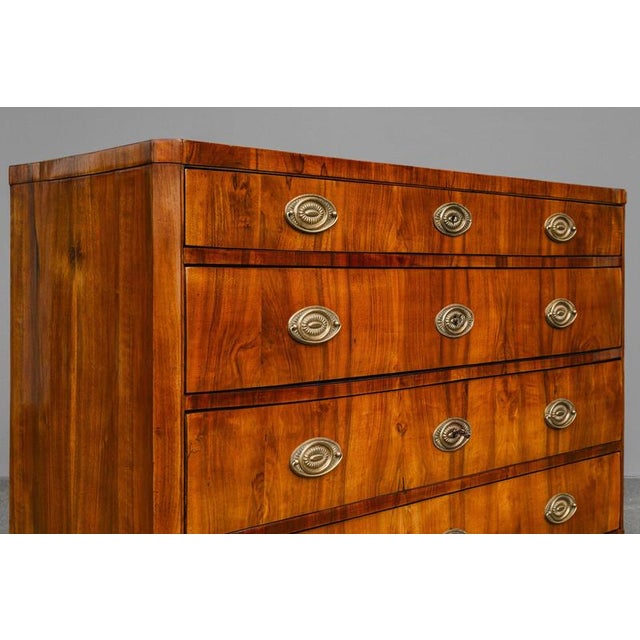 Brown Biedermeier Chest of Drawers in Walnut For Sale - Image 8 of 18