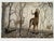 November Frost - Whitetail Deer LARRY ZACH Deer on Frosty Morning SIGNED PRINT LARRY ZACH is one of the most important...