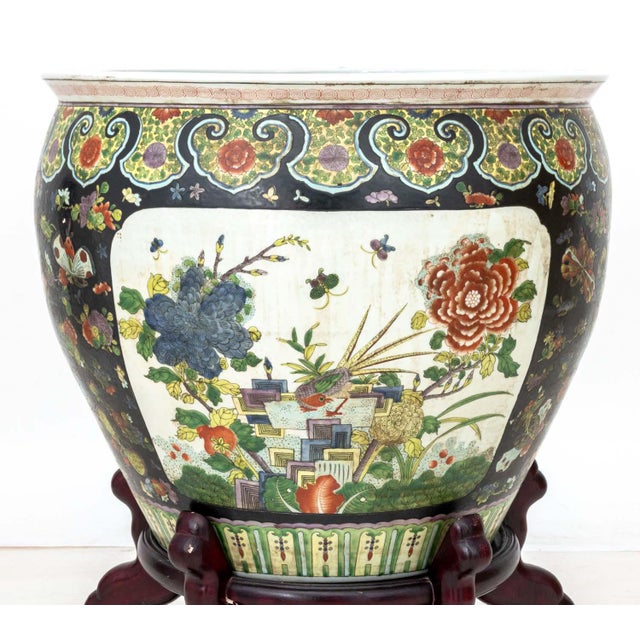 Chinese Famille Noir Porcelain Fish Bowls, Pair For Sale - Image 11 of 16