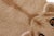 Contemporary Contemporary Decorate Wild Lioness Design Handcuffed Area Rug 4' X 6' For Sale - Image 3 of 7