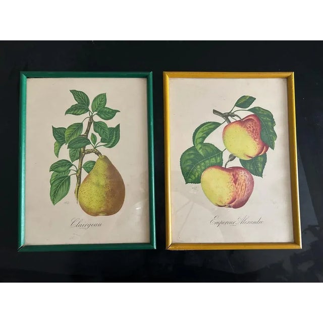 Zoltan Lucas, Fruits, 1910s, Lithographs, Set of 2 For Sale - Image 11 of 12