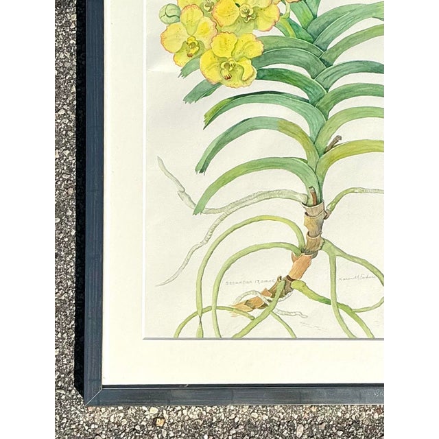 Contemporary Vintage Original Botanical Watercolor on Paper For Sale - Image 3 of 12
