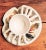 Trompe l'Oeil Italian White Majolica Crab Covered Dish Seashells For Sale In Fayetteville, AR - Image 6 of 13