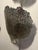 Silver Sea Foam Coastal Electric Sconces - a Pair For Sale - Image 4 of 8