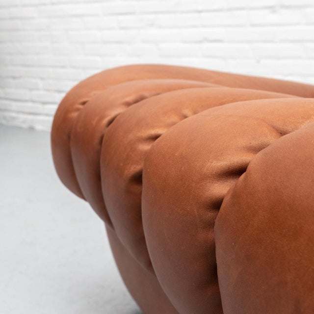 DS-85 Lounge Chair from de Sede, 1970s For Sale - Image 12 of 16