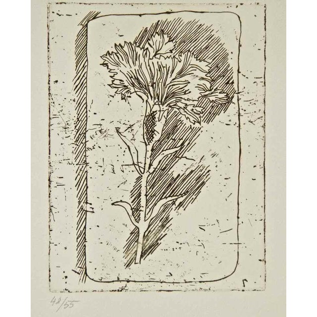 Etching on paper. Numbered and not signed. Edition of 55. Very good condition. This piece is attributed to the mentioned...