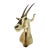 Vintage Mounted Antelope Taxidermy Wall Mount With Long Horns, Estate Find For Sale