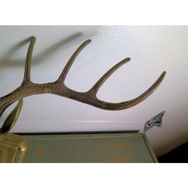 1950s Brass 5 Point Deer Head Sculpture Created to Resemble Realistic Anatomy For Sale - Image 5 of 6