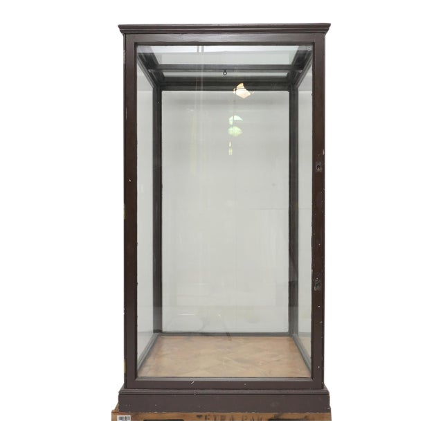 1910s Antique English Museum Display Case Vitrine For Sale