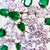 Green Tiffany & Co Colombian Pear Emerald & 12 Ct Diamond Pin in Platinum, Vintage For Sale - Image 8 of 8