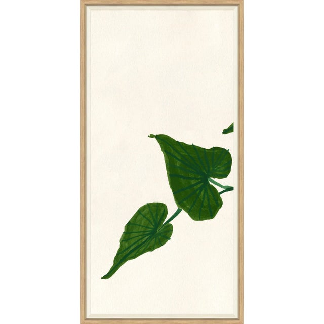 Contemporary Ivy I Framed Art Print by Susan Hable For Sale - Image 3 of 3