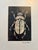 This original beetle print is layered over a fragment of map-based illustration, embedding a sense of place and movement...