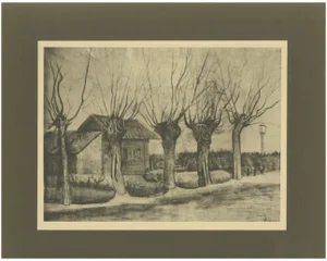 Vincent Van Gogh, Pollard Willows, 1928, Portfolio Print