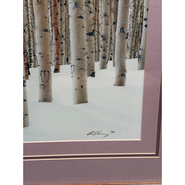 Black Circa 1997 Aaron Goldenberg Framed "Winter Aspens" Art Photograph, Signed + Limited Edition 266 of 900 For Sale - Image 8 of 12