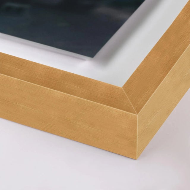 Many Faces 76 by Chloe Besson Contemporary Photograph in Gold Frame Overall Size: 28x40 Frame Color: Gold