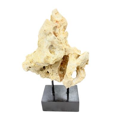 Tribal Indonesian Coral Stone On Teak Stand For Sale - Image 3 of 5