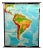 Vintage South America American Continent Pull Down Map For Sale