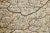 Sculpture Materials Hungary & Eastern Europe: A Large 17th C. Hand-Colored Map by Sanson & Jaillot, 1692 For Sale - Image 7 of 12