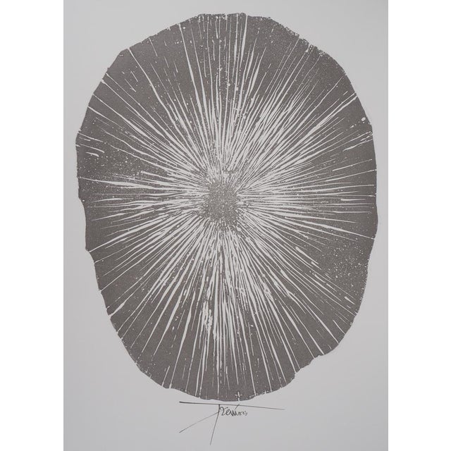 Pierre-Yves Trémois, Sea Urchin, Original Engraving For Sale - Image 6 of 6