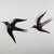 Metal Swallow Wall Sculptures, 1970s, Set of 2 For Sale - Image 14 of 14