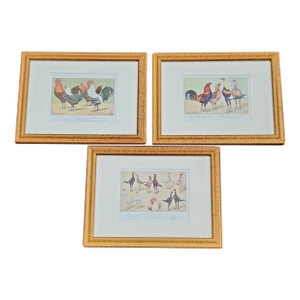 Antique French Rooster & Poultry Lithographs in Burled Wood Frames – Set of 3