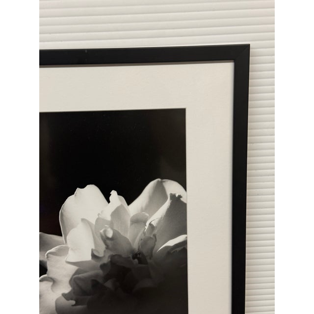 Jess Johnston Photograph, Framed For Sale - Image 10 of 12