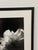 Jess Johnston Photograph, Framed For Sale - Image 10 of 12