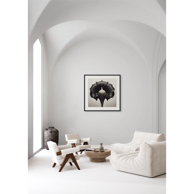 18' X 18' 'Dipsacus Laciniatus' #1 - Black and White Limited Edition Botanical Photography Print, Unframed For Sale - Image 4 of 4