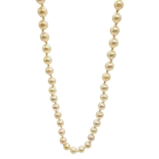 An emblem of mid-century grace, this South Sea light golden tone sea water pearl choker necklace is a refined statement...