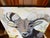 Greige "Ram Stare" a Ram Painting For Sale - Image 8 of 12