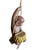 Hanging Planter Swinging Monkey With Banana Bowl “Porch Monkey” Vintage 1970s For Sale - Image 4 of 11