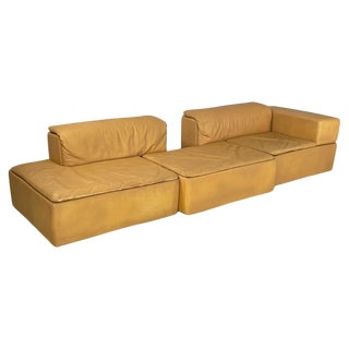 Italian Modern Brown Leather Modular Sofa Paione attributed to Salocchi for Luigi Sormani, 1970s, Set of 3 For Sale