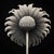 A striking black-and-white botanical print featuring Cotula Turbinata, meticulously restored and remastered from an...