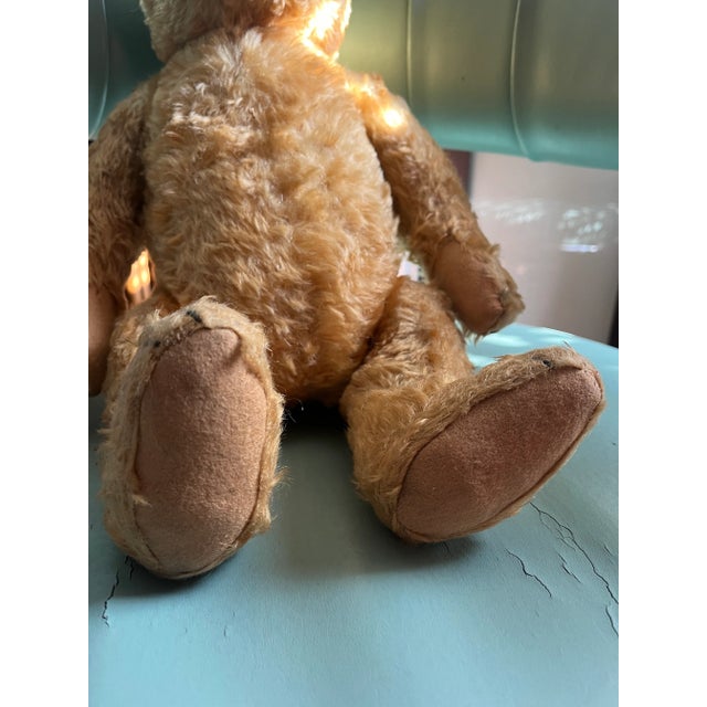 1940s Steiff Bear, Made in Germany For Sale - Image 10 of 12